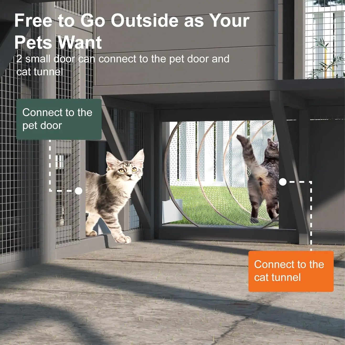 Cat Catio Wooden Enclosure With Sun Panel Roof And Platforms