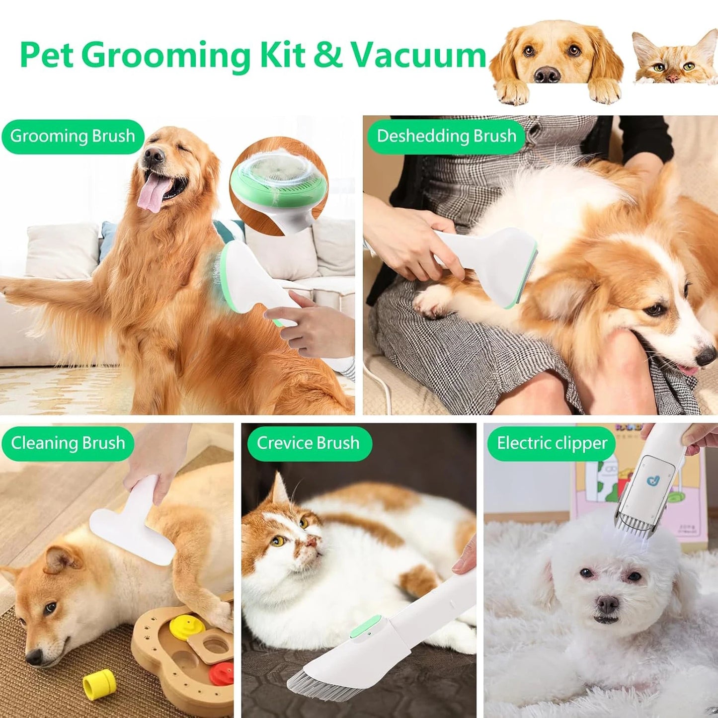 HiMISS Pet Grooming Kit With 2L Quiet Vacuum And Tools