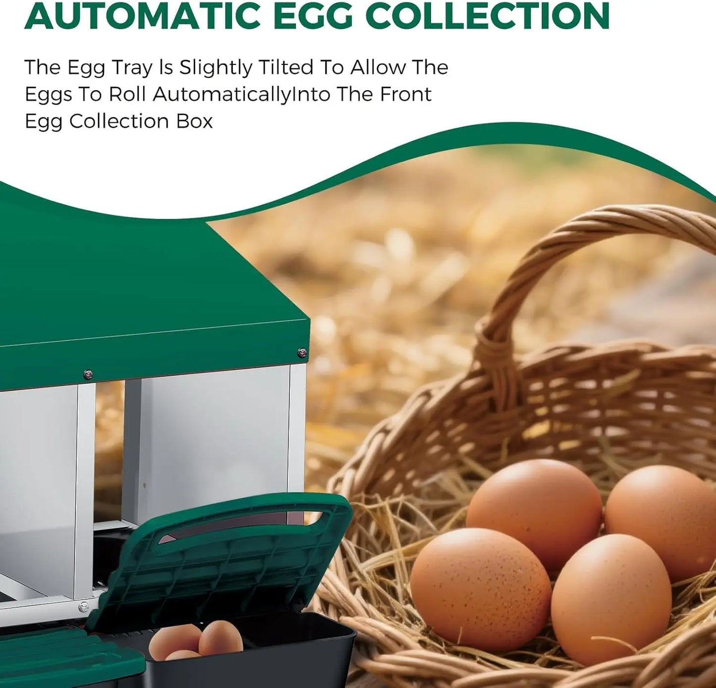 TWISTER.CK Metal Chicken Nesting Box With Automatic Egg Tray