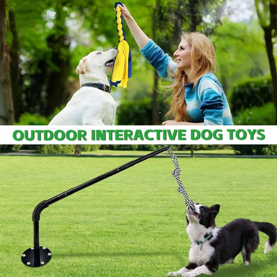 Tether Tug Outdoor Interactive Dog Toy