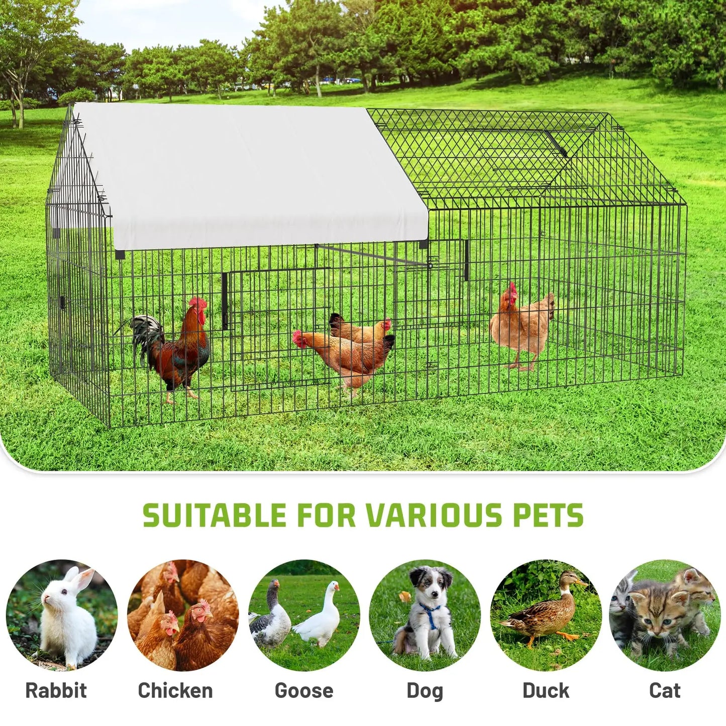HiMISS Walk-In Chicken Coop Iron Kennel Hutch Outdoor