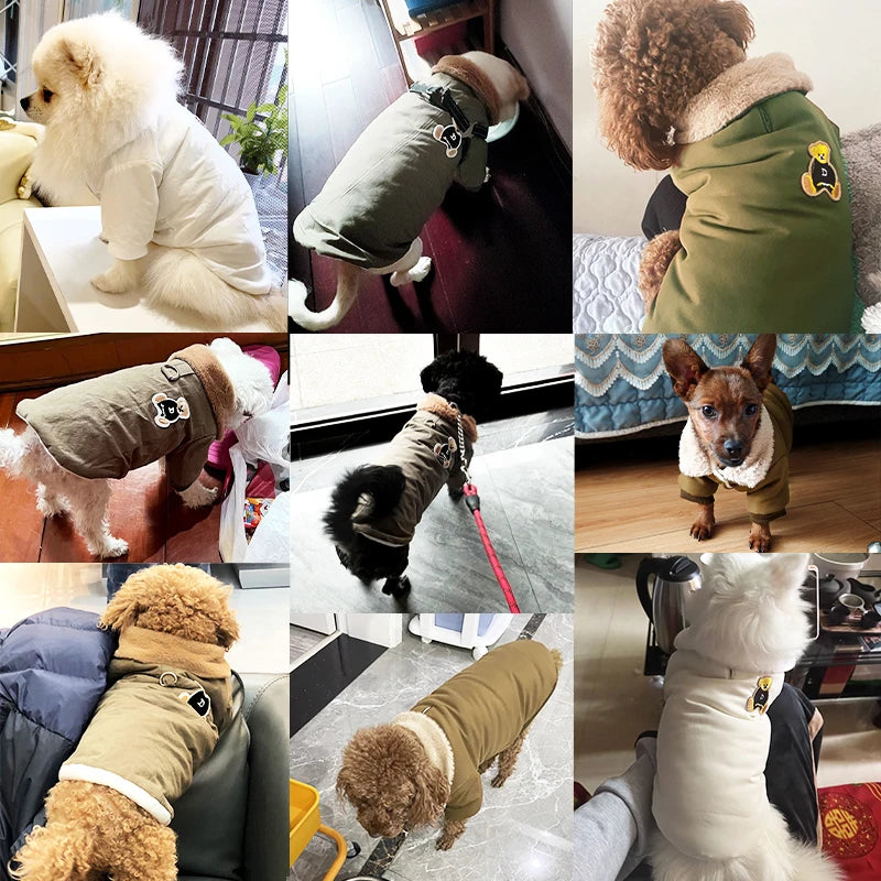 Dog Coat Bear Print Fur Collar Windproof Warm Winter Jacket