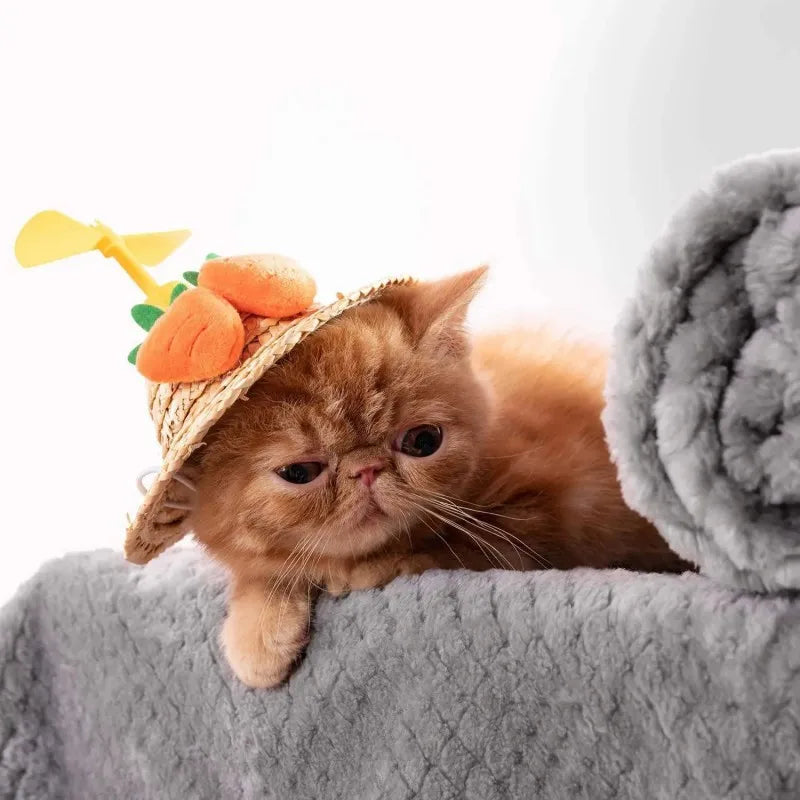 Pet Blanket Fleece Throw