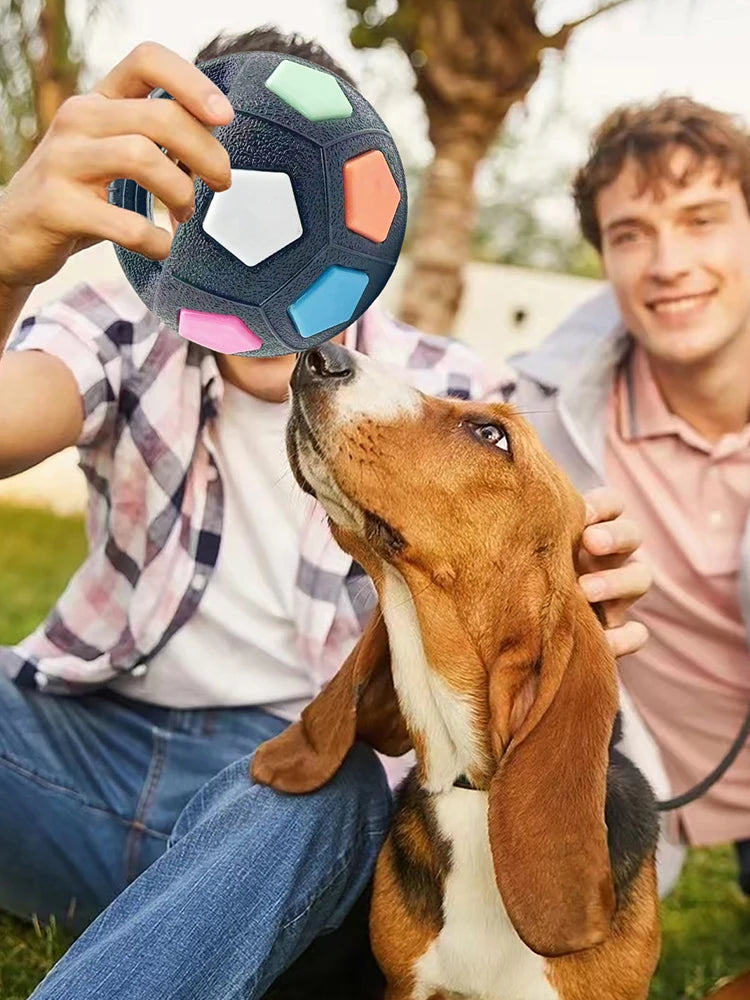 Dog Calming Ball With Handle Football Toy, Squeaky Interactive