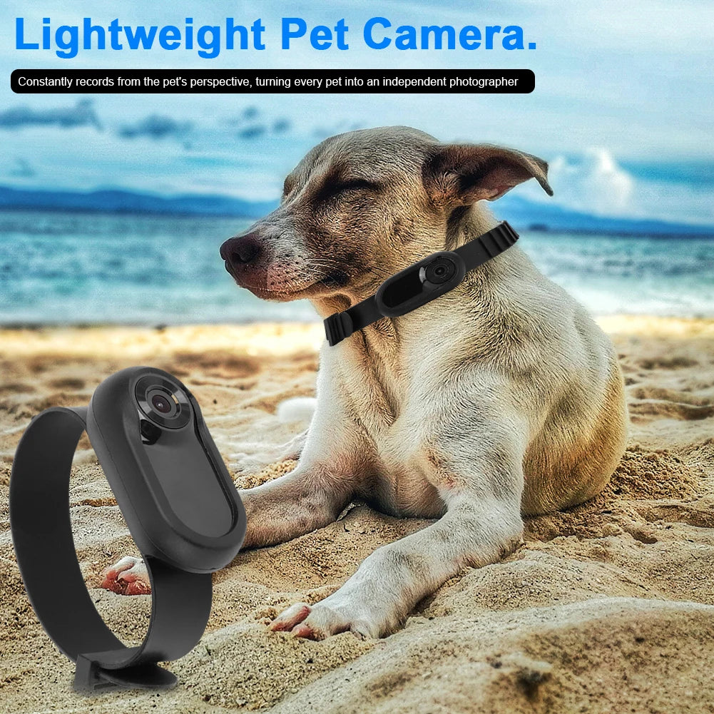 NONED Dog Collar Camera 1080P Wireless Pet Video Recorder