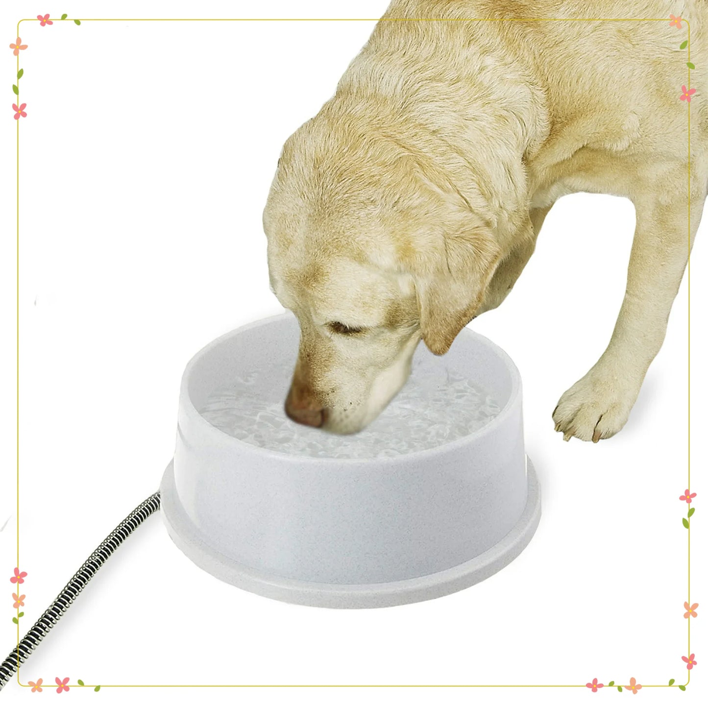 Water Bowl Outdoor Heated Pet Thermostatically Controlled