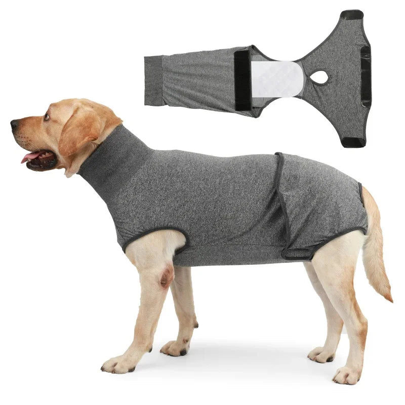 Pet Recovery Suit Nappy Pad Design