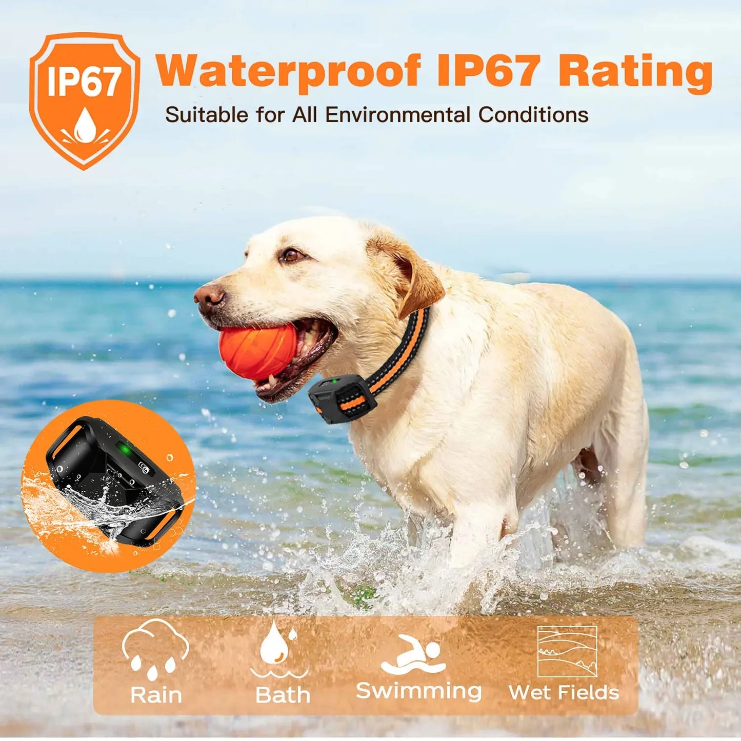 Electric Dog Training Collar Waterproof Remote Control
