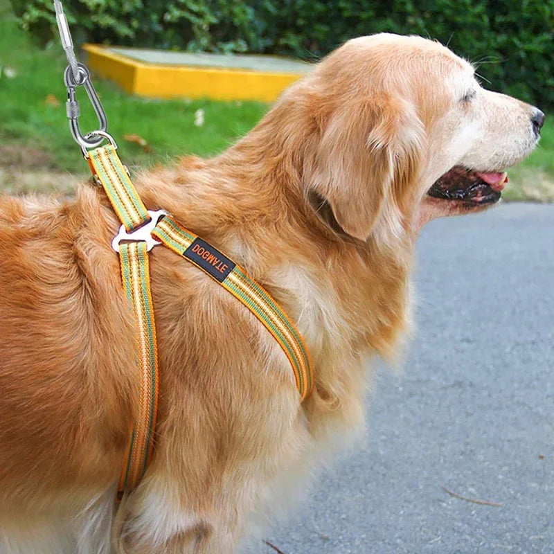 Dog Tie Out Cable Leash Double-Headed Stainless Steel