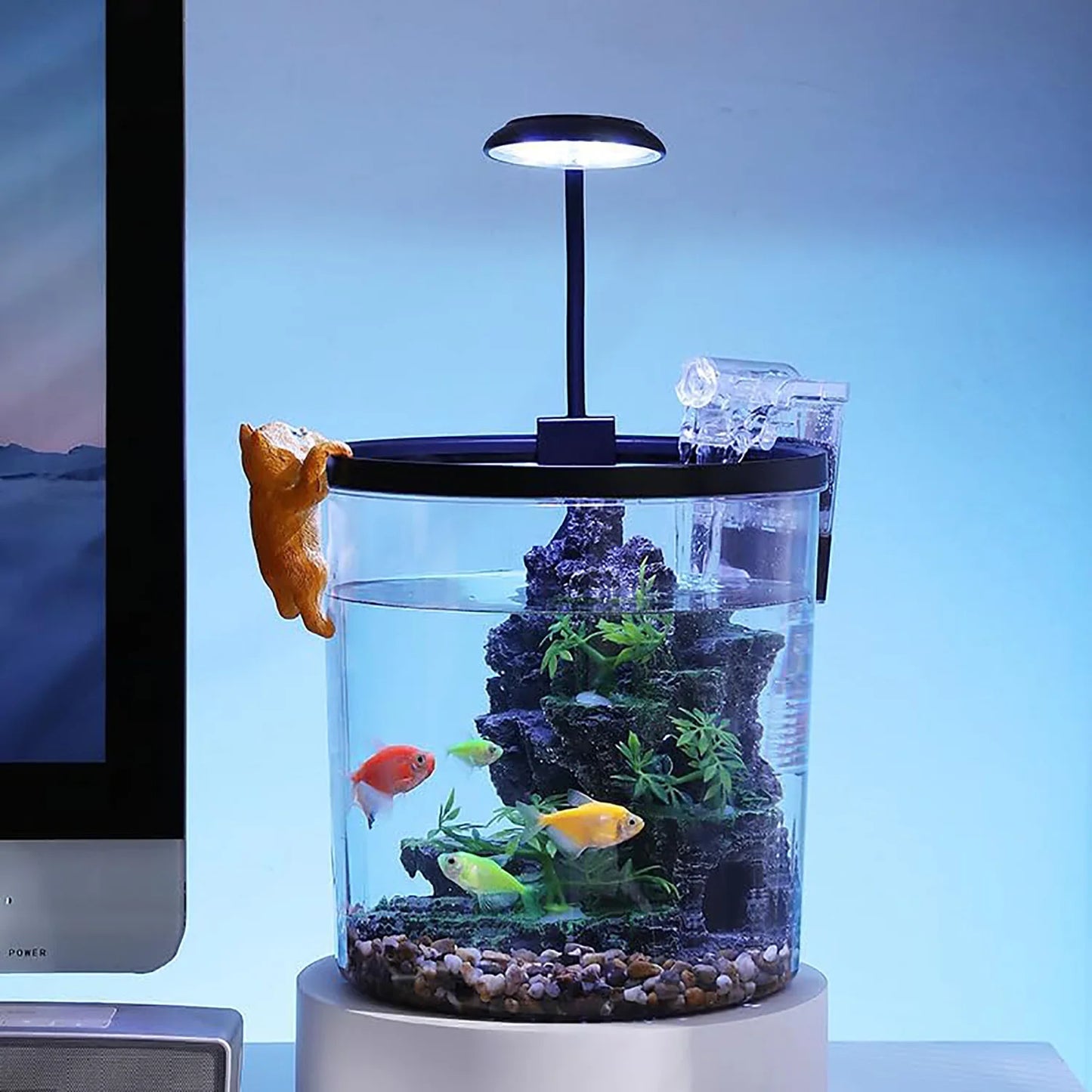 HiMISS Betta Fish Tank Starter Kit Acrylic for Beginners