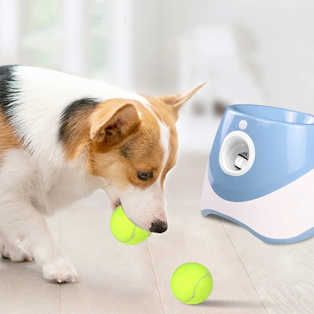 Alloet Dog Ball Launcher Automatic Pet Toy For Dogs