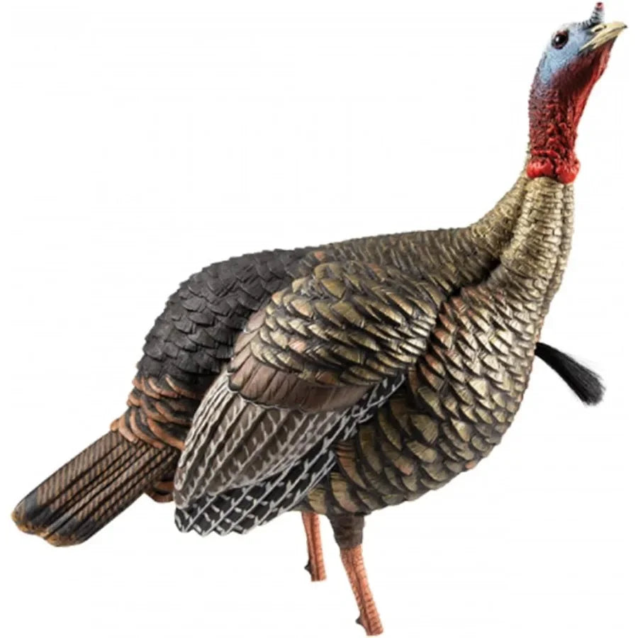 Turkey Decoy Jake HDR Realistic Quarter Strut with Removable Heads