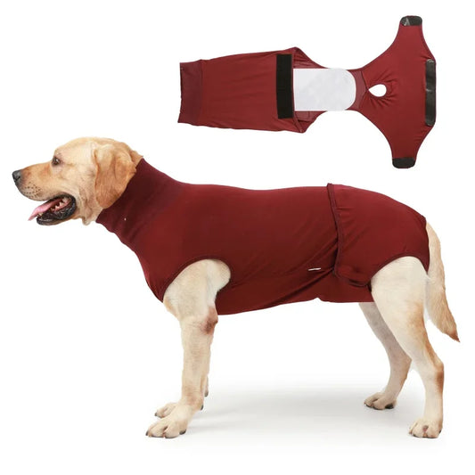 Pet Recovery Suit Nappy Pad Design