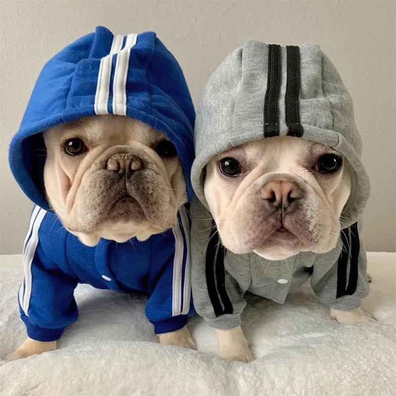 Dog Jumpsuit Hooded Pet Clothing For All Breeds Worldwide