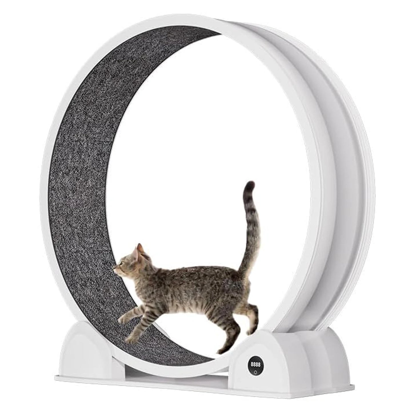 HiMISSCN Cat Exercise Wheel ABS Quiet Indoor Treadmill for Cats