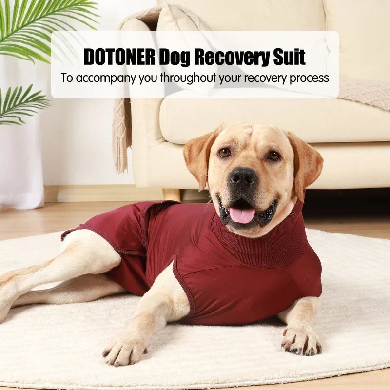 Pet Recovery Suit Nappy Pad Design