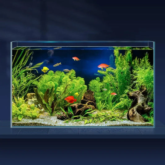 Aquarium Ultra Clear Low Iron Rimless Glass for Fish
