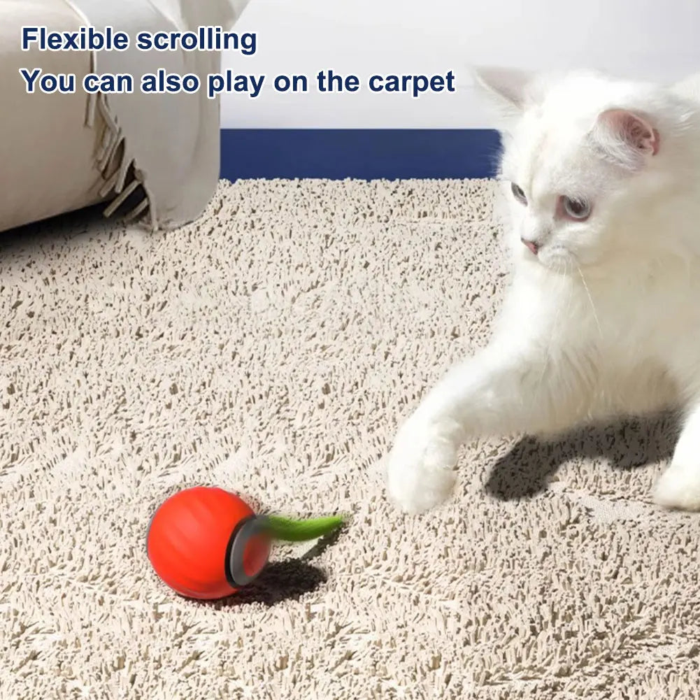 Pet Toy Ball Interactive Play For Cats And Dogs Worldwide