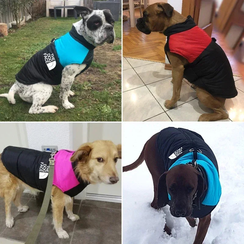 Dog Coat Waterproof Durable Everyday Wear For Pets