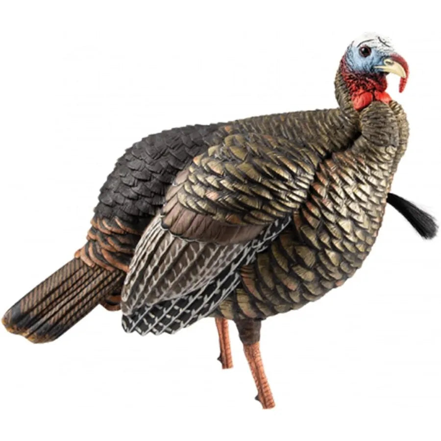 Turkey Decoy Jake HDR Realistic Quarter Strut with Removable Heads