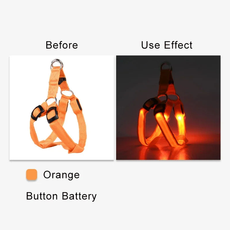 Dog Harness Nylon