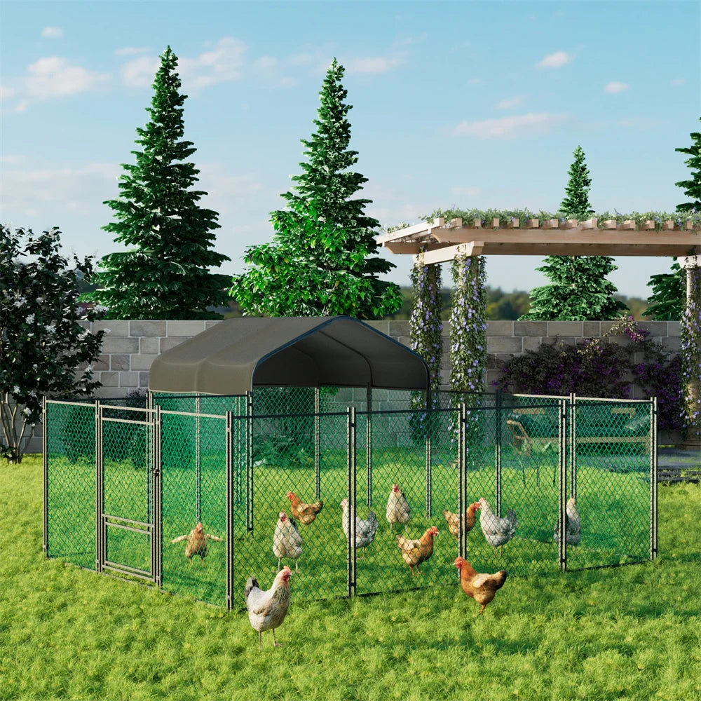 BORWART Chicken Coop Walk-In Metal Kennel Outdoor Shelter