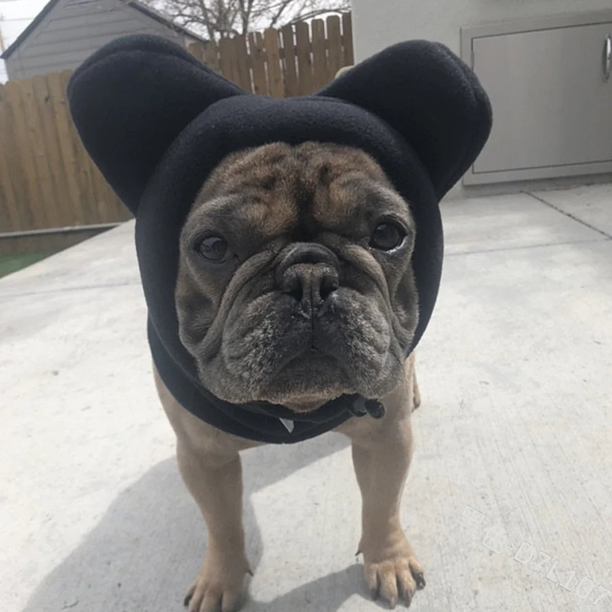 Dog Hat Fleece Bat Adjustable Winter Hat For French Bulldogs