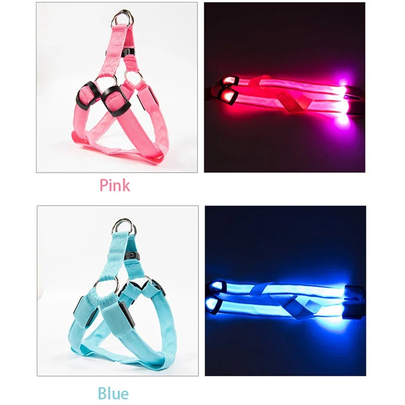 Dog Harness Nylon