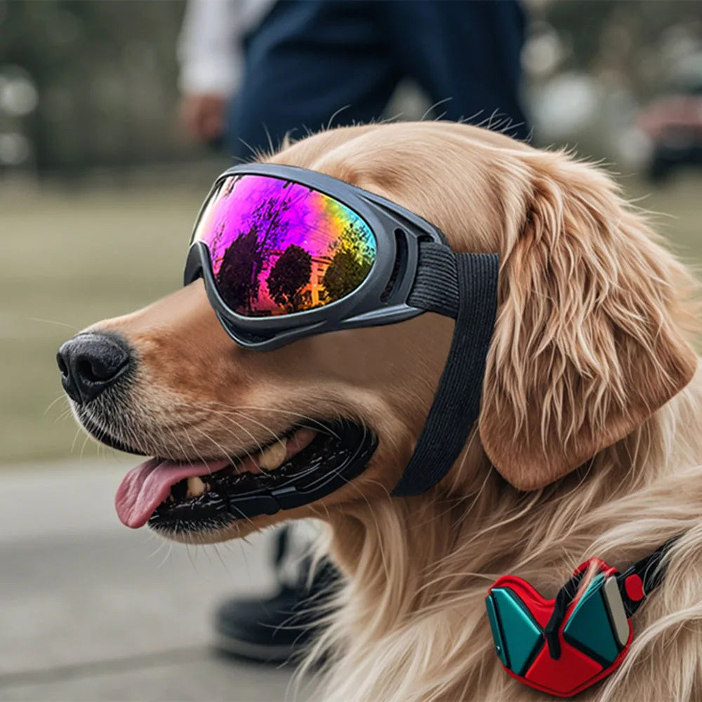 Dog Goggles Anti-UV Pet Eyewear For Eye Protection