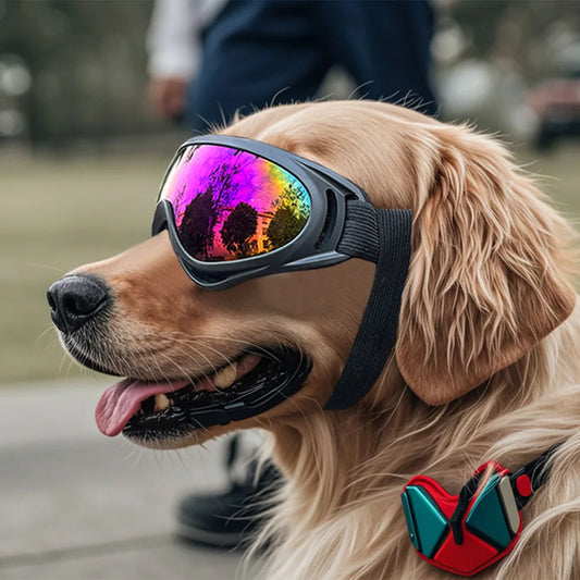Dog Goggles Anti-UV Pet Eyewear For Eye Protection