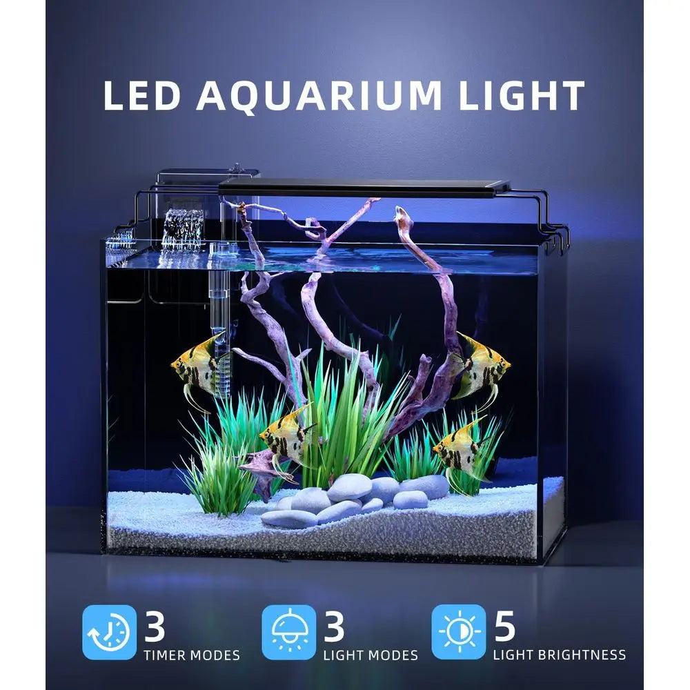 Glass Aquarium Kit with Self-Cleaning Feature and LED Lighting