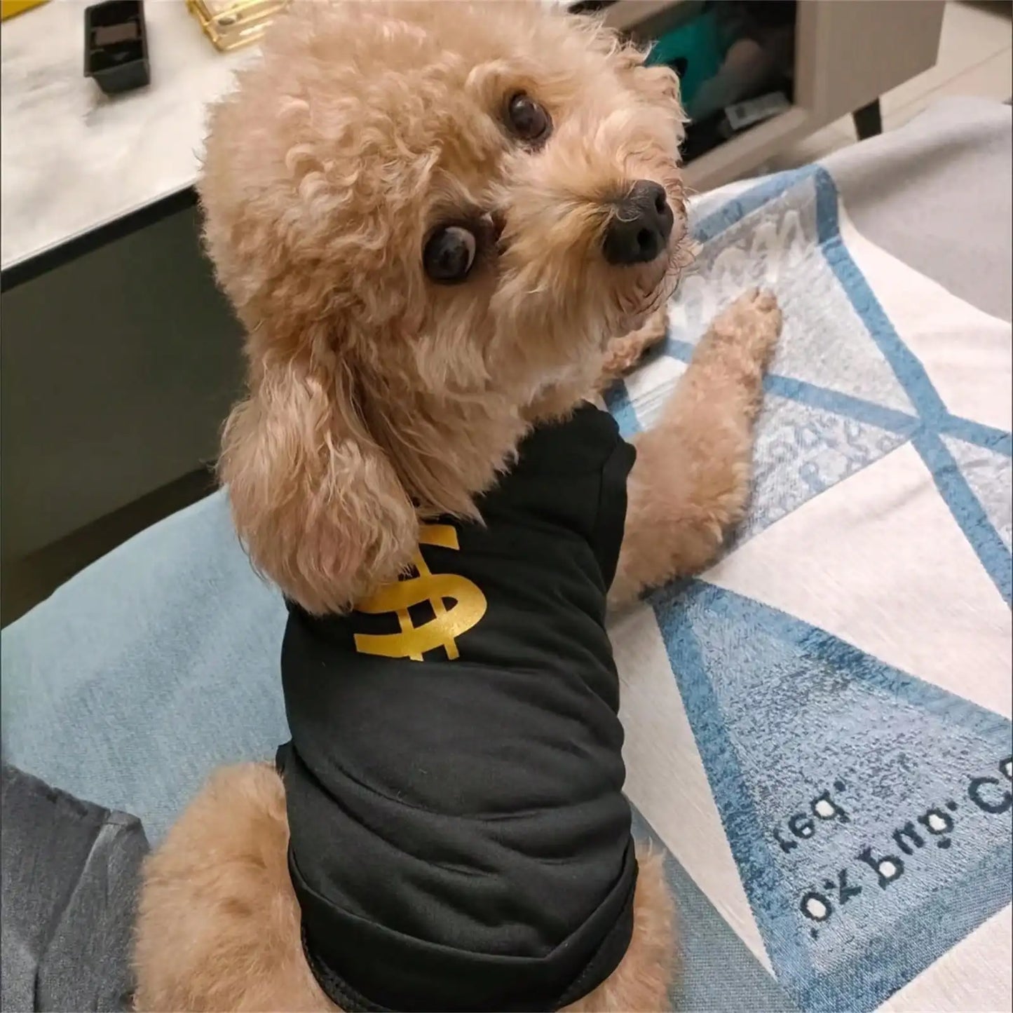 Dog Vest Breathable Mesh Pet Apparel Sleeveless Summer Design