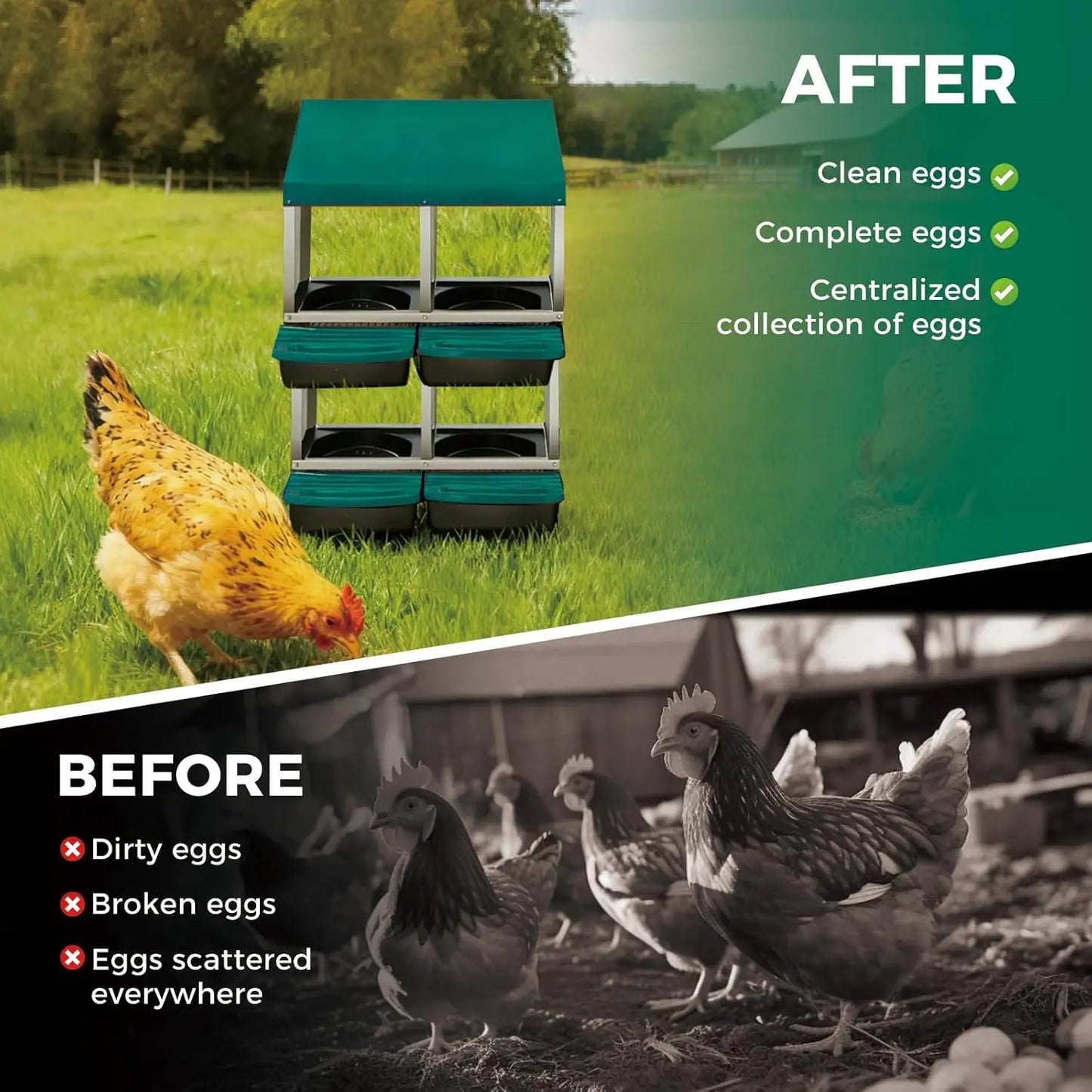 TWISTER.CK Metal Chicken Nesting Box With Automatic Egg Tray