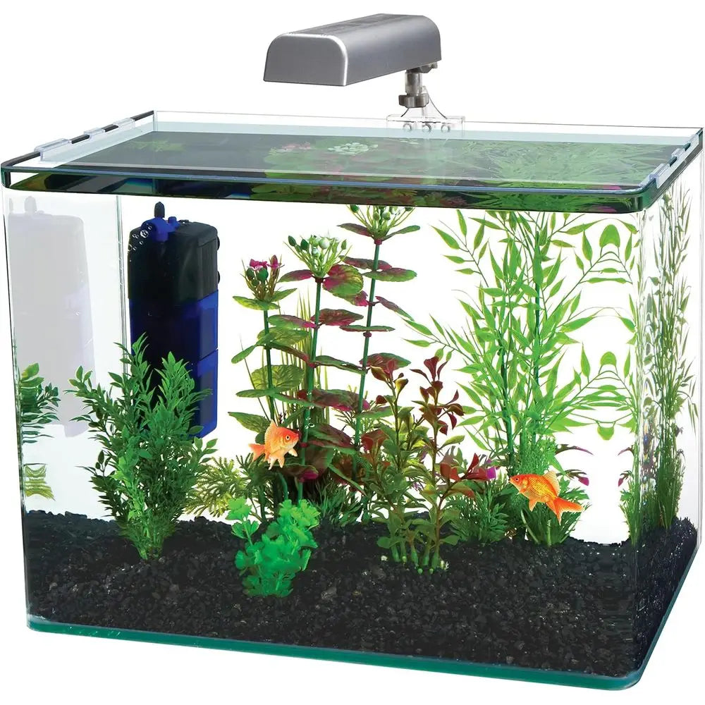 Glass Aquarium Kit for Desktop Use with LED Light