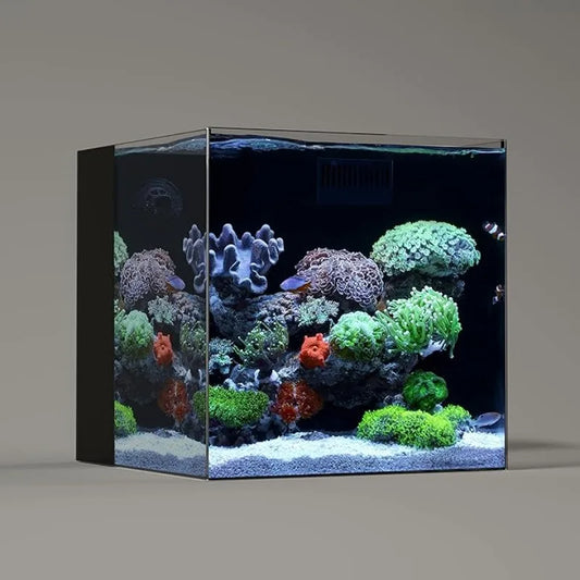 Aquarium Tank Frameless Ultra-Clear Low-Iron Glass With Return Pump