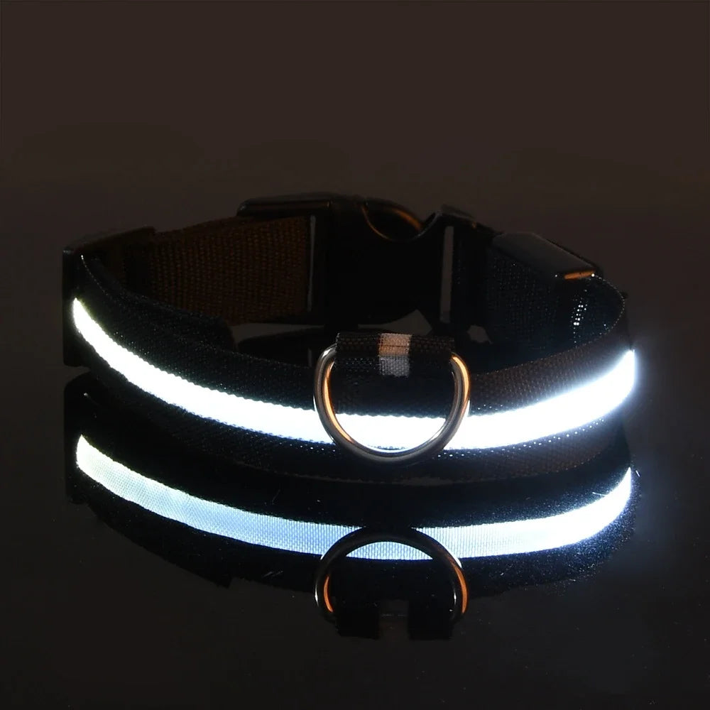 NONECN Dog Leash Luminescent Night Led Glow For Night Walks