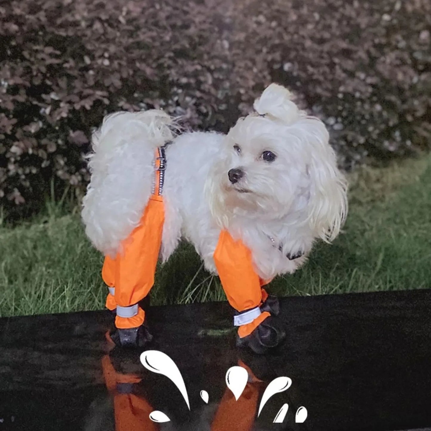 Dog Boots Waterproof For Daily Walks For All Pets Quality