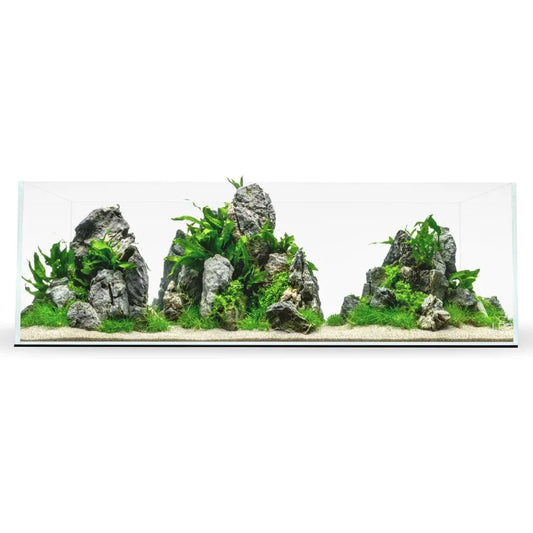 Ultra Clear Rimless Glass Fish Tank for Aquascaping Design