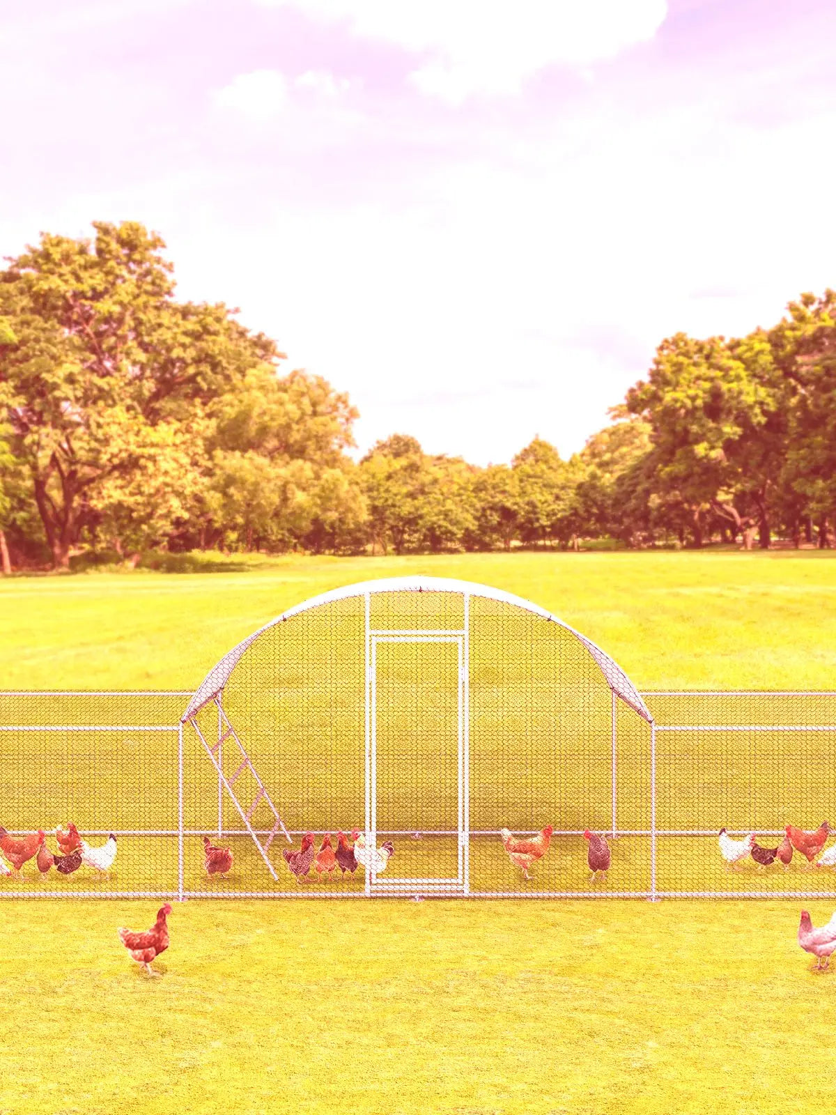 Chicken Coop Walk-In Galvanized Dome-Roof 3-Room Pen