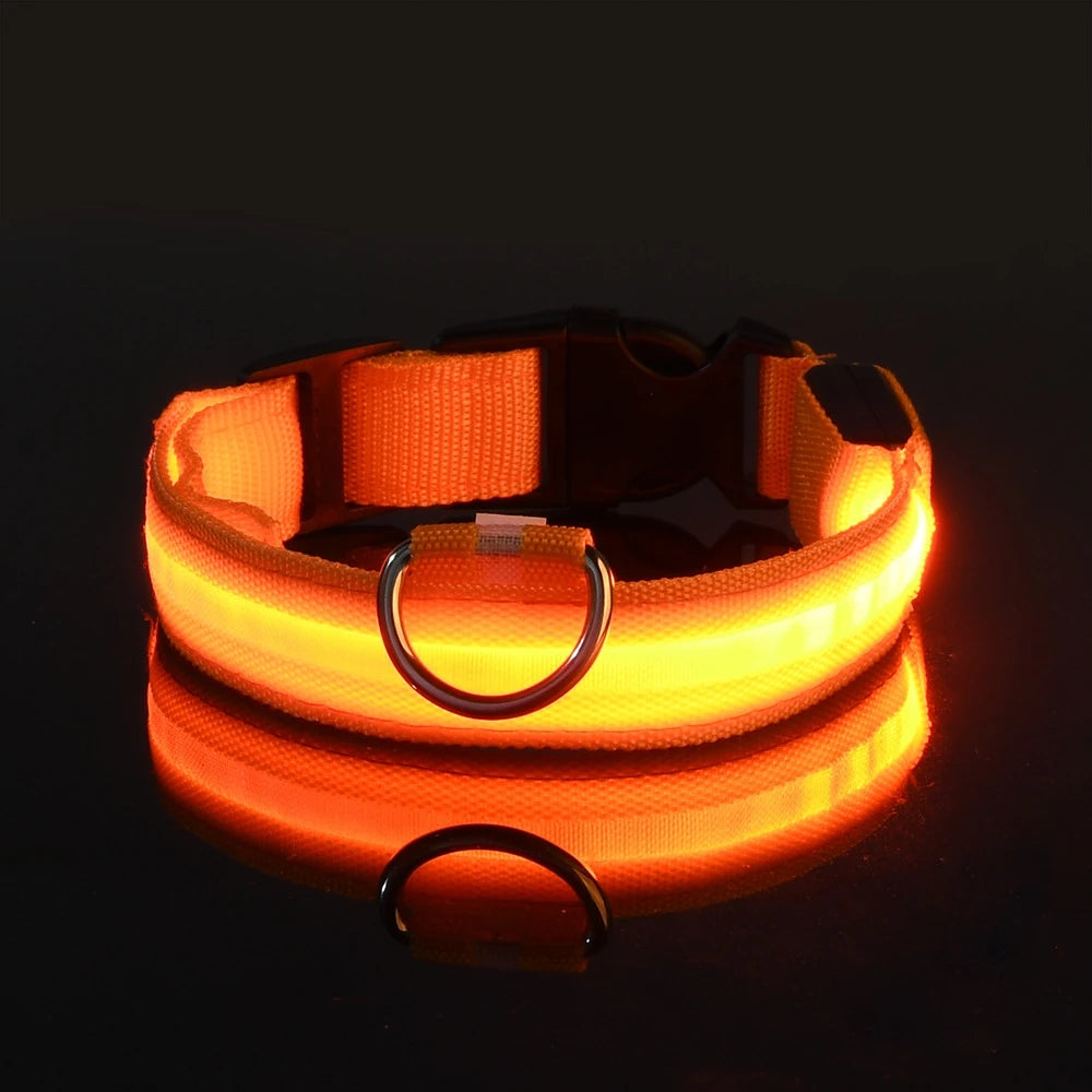 NONECN Dog Leash Luminescent Night Led Glow For Night Walks