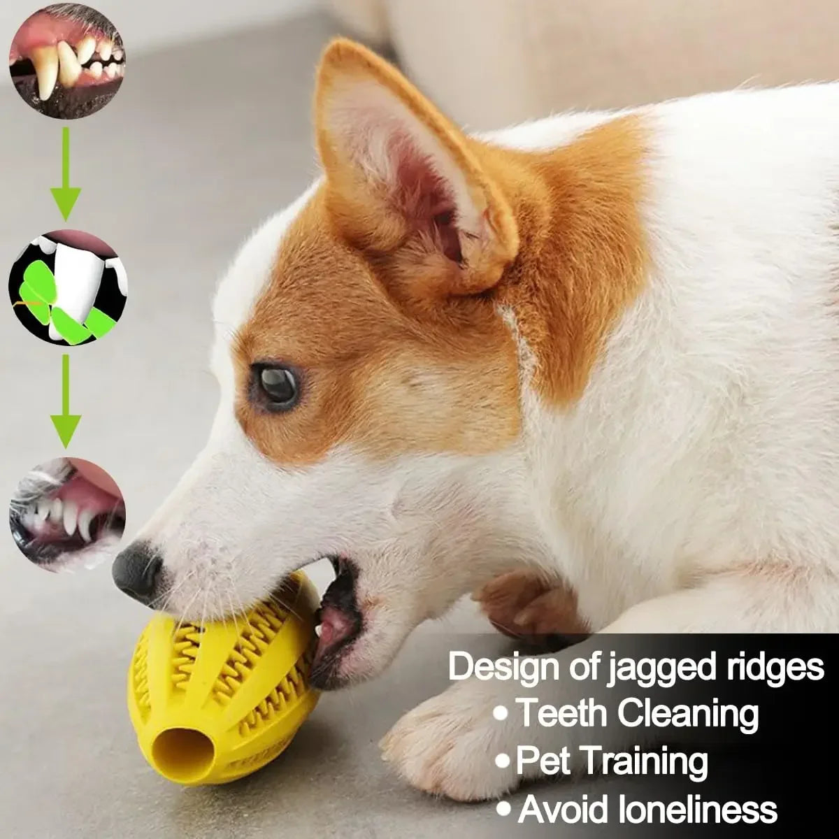 Dog Chew Ball Natural Rubber Teeth Cleaning Toy