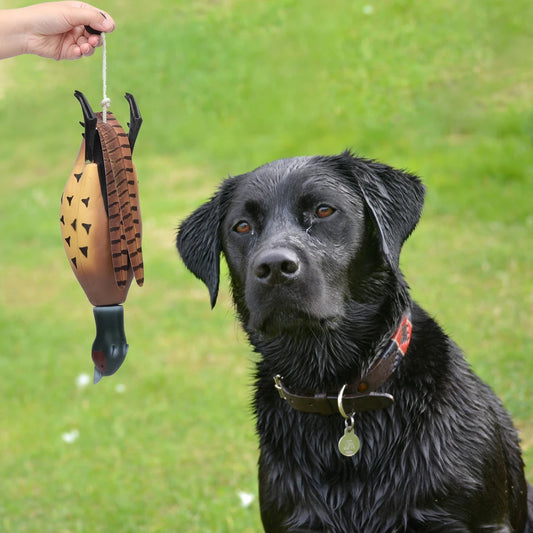 HiMISSH Dog Toy Pheasant Leather Dummy for Retrieval Training
