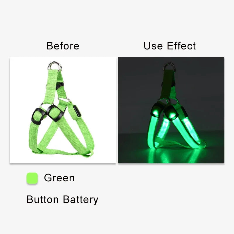Dog Harness Nylon