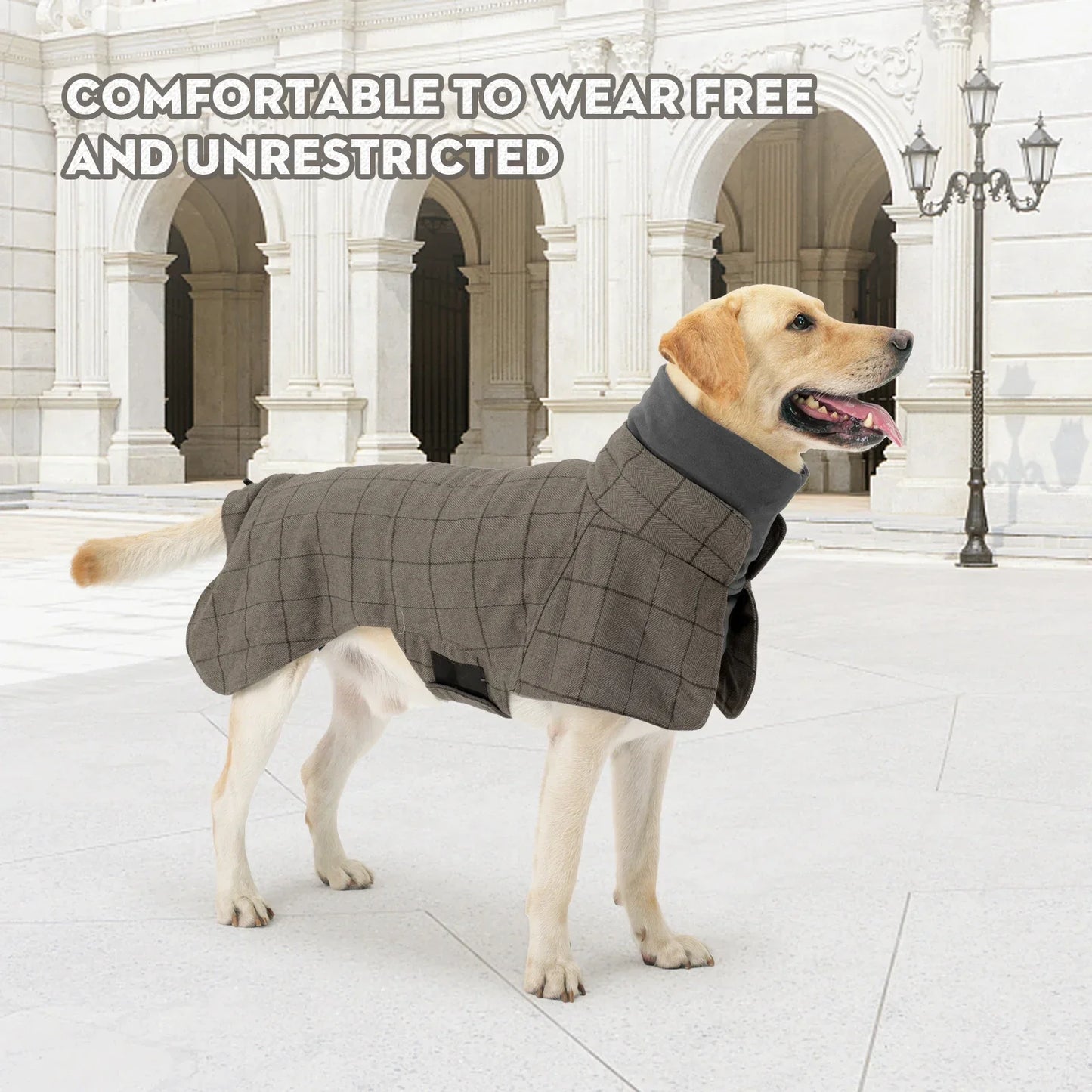 Dog Coat Waterproof Windproof Winter Warm British Plaid