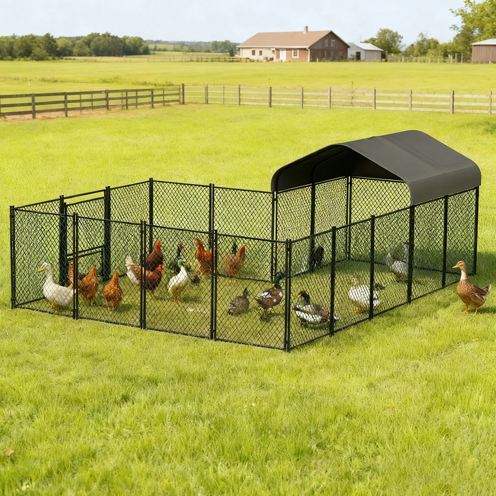 BORWART Walk-In Chicken Coop With Gate and Lock Iron Mesh