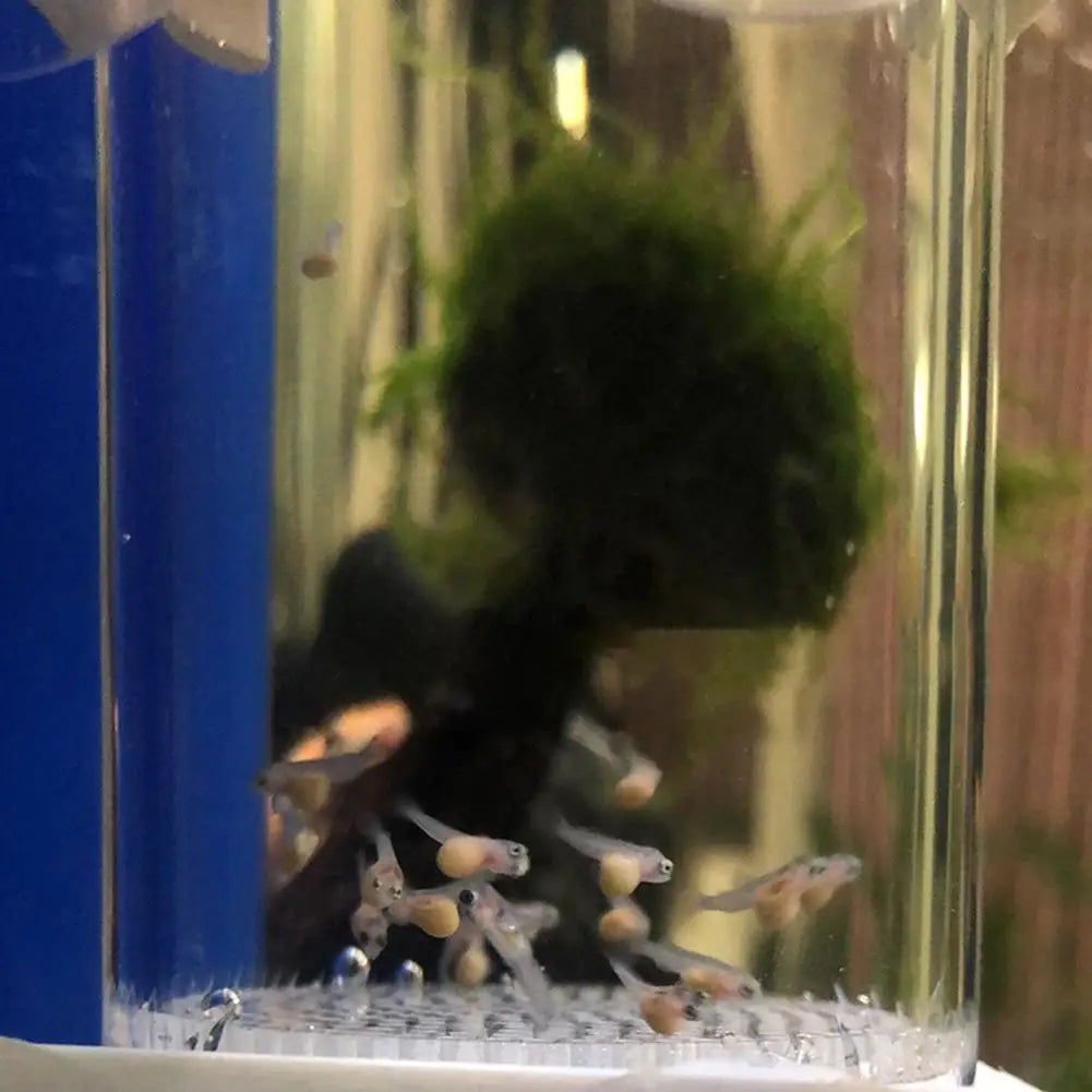 VAKINDF Fish Egg Incubator Tumbler for Aquarium