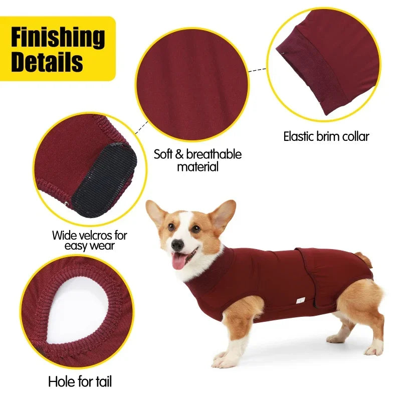 Pet Recovery Suit Nappy Pad Design