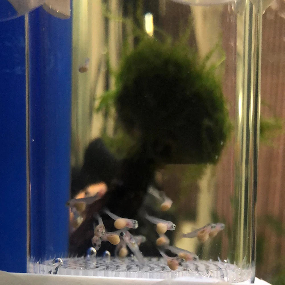 VAKINDF Fish Egg Incubator Tumbler for Aquarium