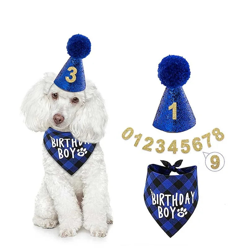 YTYINCN Pet Birthday Hat Decor For Cats And Dogs Party