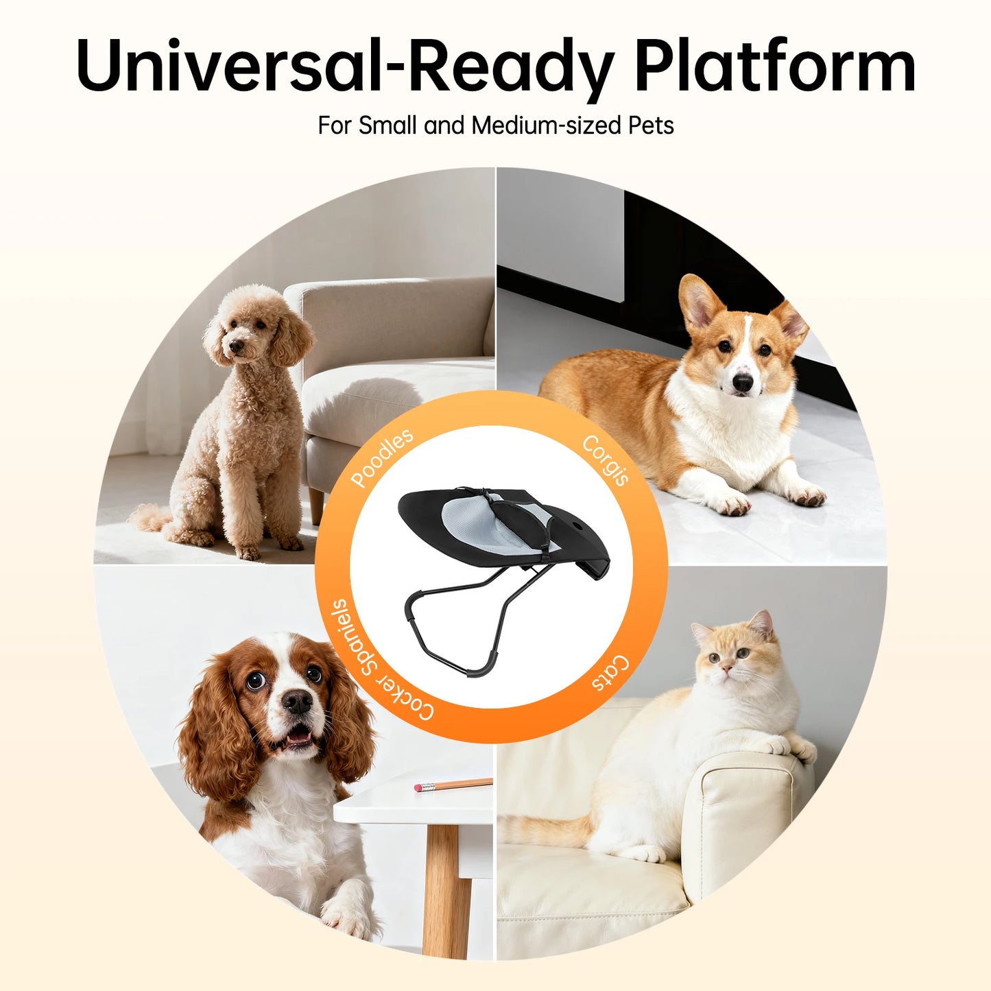Sichuan Pet Rocker Bed Foldable Adjustable Height Stainless Steel Bracket
